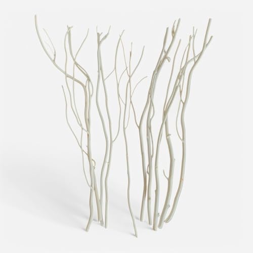 Willow Branch Diffuser Reeds 25pcs Natural White