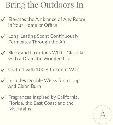 Archipelago Botanicals Aspen Reed Diffuser Set 76 Floz