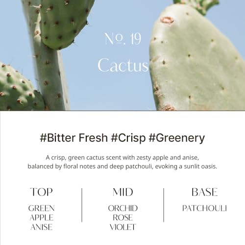 HETRAS Objet Diffuser Set 67 Fl Oz 2 Pack Cactus Fresh Greenery Scent
