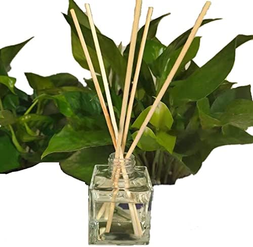 Asodomo 100pcs Reed Diffuser Sticks for Home Office Bathroom