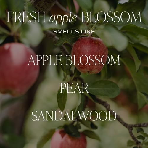 Sweet Water Decor Fresh Apple Blossom Reed Diffuser Set