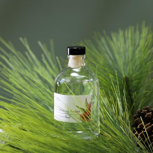 BITSOTA Reed Diffuser Set with Lavender Eucalyptus Scent