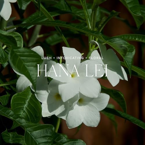 Antica Farmacista Hana Lei Reed Diffuser 845 Fl Oz