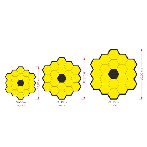 Medium James Webb Telescope Mirror Wall Art