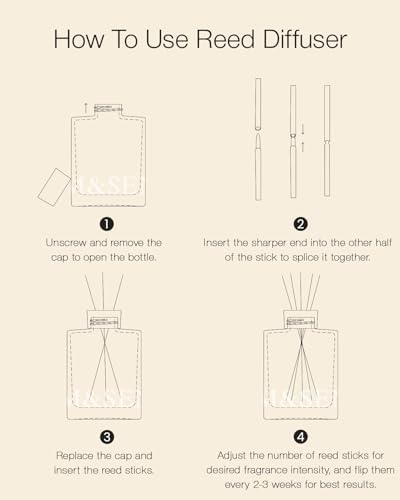 MSENSE Amber Lemon Reed Diffuser Set