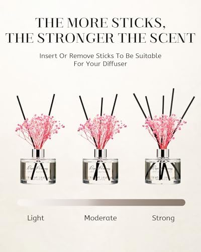 MSENSE Reed Diffuser Set with 7 Sticks