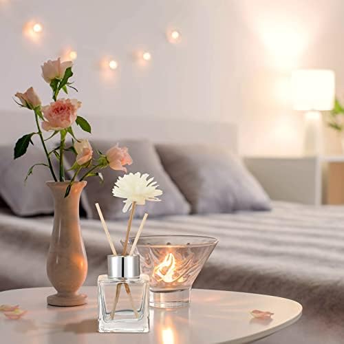 20 Piece Square Glass Diffuser Set with Silver Caps - Refillable for Essential Oils and Reed Sticks