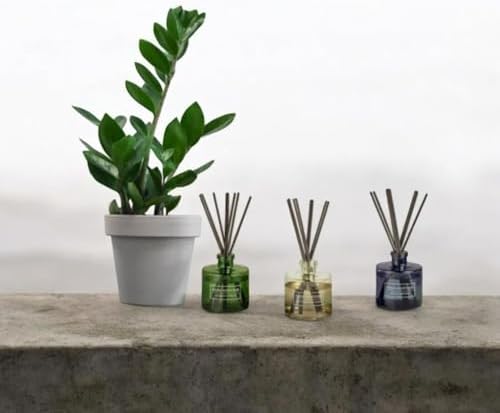 3-Pack Glass Diffuser Set with Gold Caps and 3 Scents
