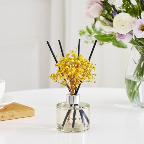 Cocodor Ylang Ylang Reed Diffuser Set 67oz