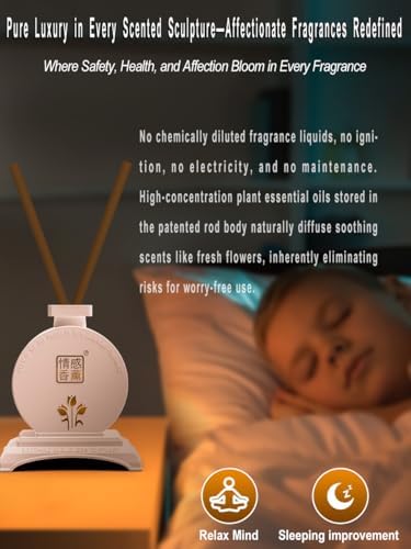 Premium Quality Safe Healthy Office Home Reed Diffuser Set