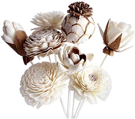 8 Mixed Sola Flower Reed Diffuser Set by Plawanature