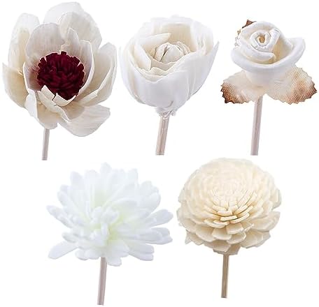 Generic 5 Pcs Aromatherapy Reed Diffuser Set