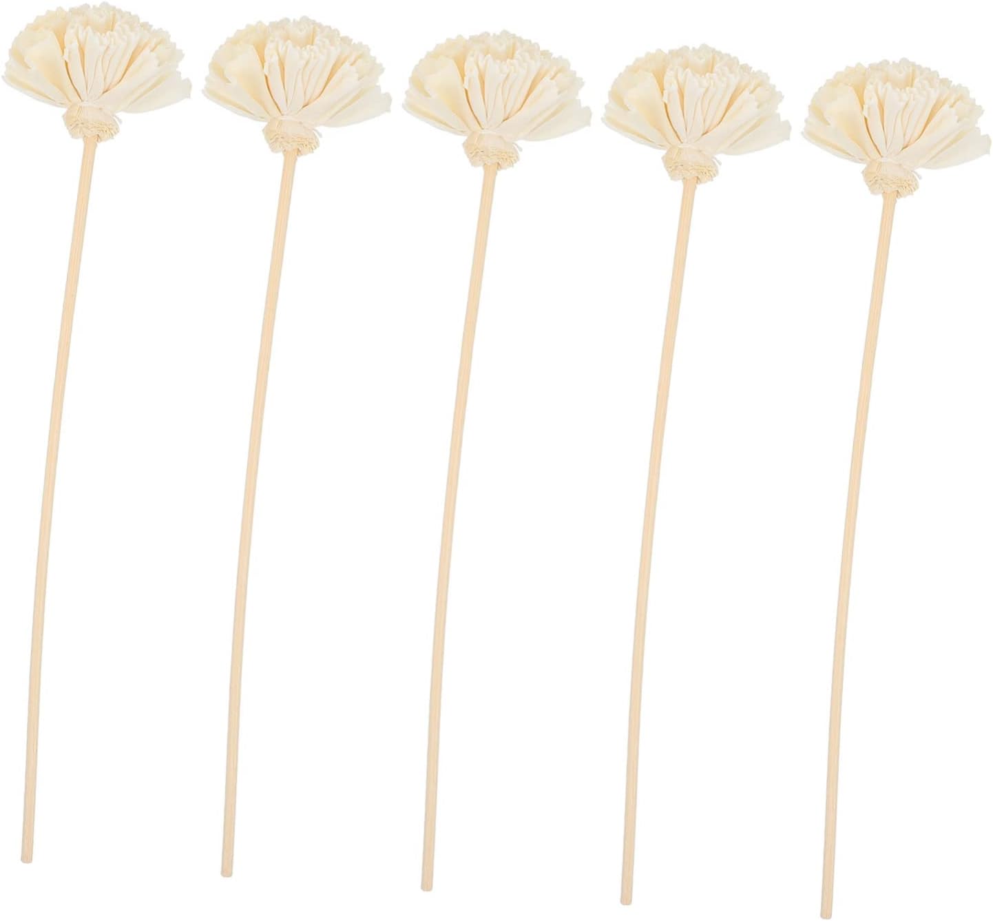 Hemoton Carnation Aroma Diffuser Sticks Set