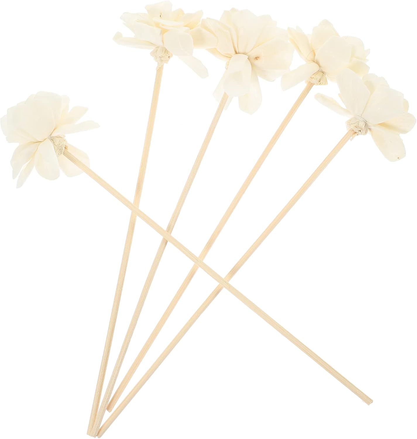HOMSFOU Reed Diffuser Oil Refill Set 5PCS