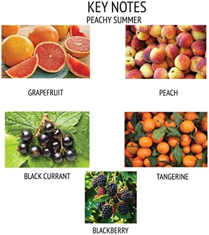 Divina Esencial Luxury Reed Diffuser Set with 120ml Amber Glass Bottle and 5 Reeds