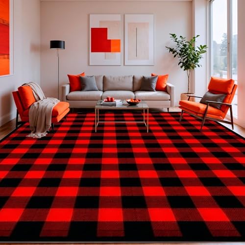 ODIKA Ultra Soft 6x9 Area Rug with Non Slip Design