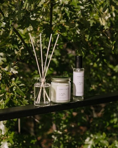 Brooklyn Candle Studio Fern Moss Reed Diffuser Set