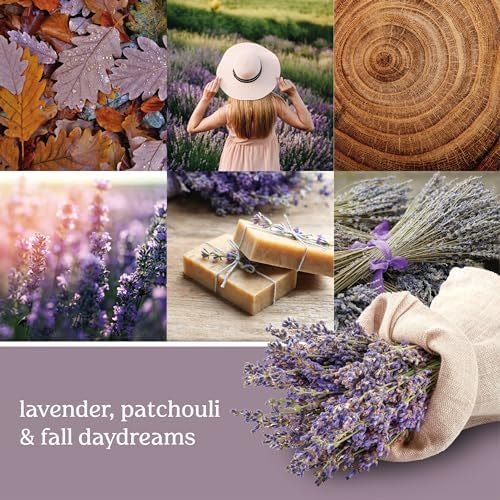 Yankee Candle Concentrated Room Spray Dried Lavender Oak 15 Oz Pack of 3