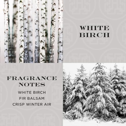 HomeWorx by SLATKIN CO White Birch Reed Diffuser