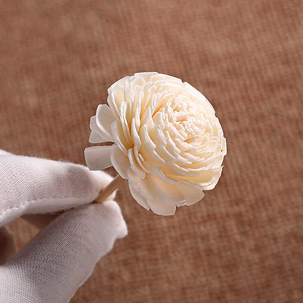 6pcs Dried Flower Rattan Sticks for Home Fragrance Decor
