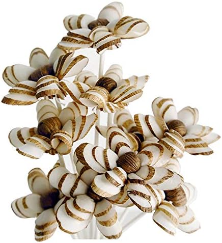 10 Geranium Sola Flower Reed Diffusers for Natural Home Fragrance