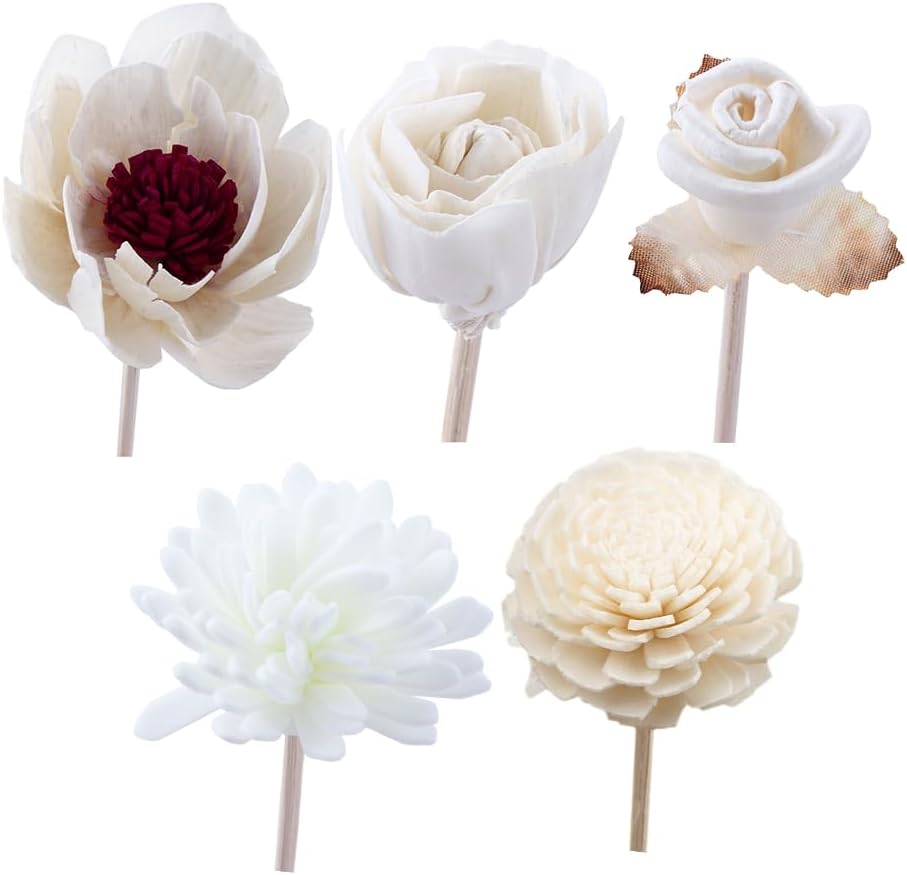 Generic 5 Pcs Aromatherapy Reed Diffuser Set