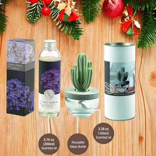 Pretty Valley Home Reed Diffuser Set with Citrus Verbena Fragrance