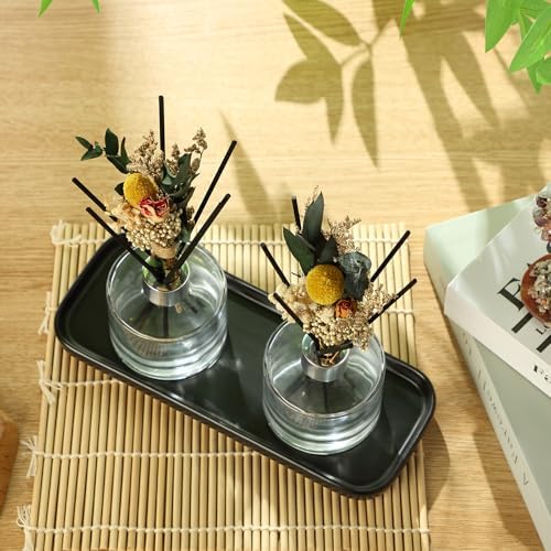 Rtteri 2 Pcs Refillable Diffuser Bottles with Reeds and Ceramic Tray