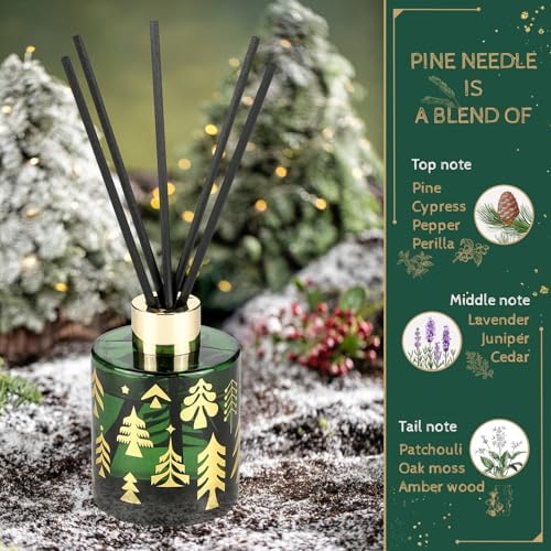 Brakula Reed Diffuser Set with 2 Scents