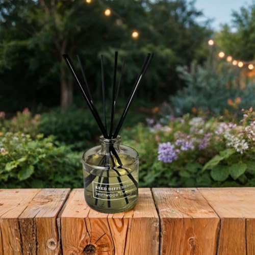 Bellevue Reed Diffuser Set 2 Pack 6 Fl Oz