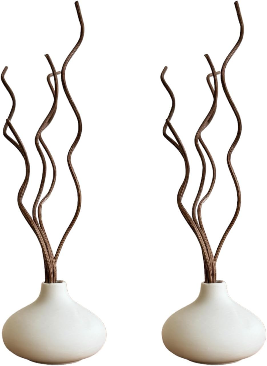 White Ceramic Vase Set of 2 with Rattan Reeds for Aromatherapy