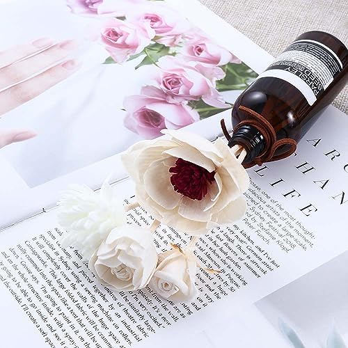 Generic 5 Pcs Aromatherapy Reed Diffuser Set