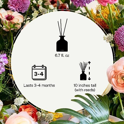 APOTHEKE Canvas Reed Diffuser Set 67 Fl Oz