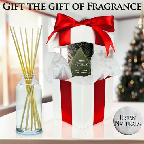 Urban Naturals Christmas Night Reed Diffuser Set