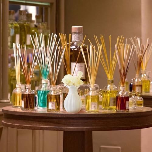 10pcs Diffuser Stick for Aromatherapy