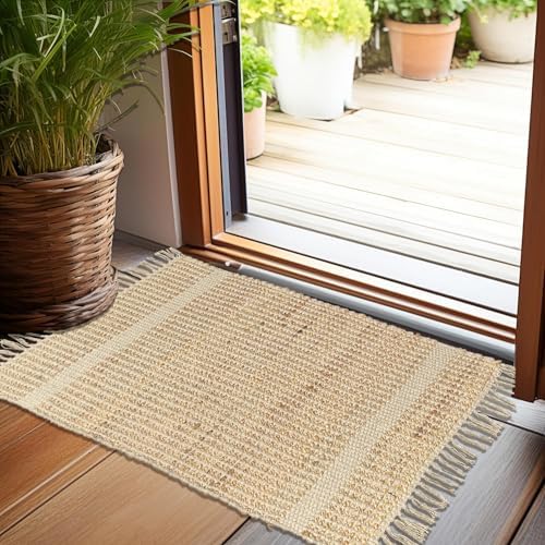 Chardin Home 2x3 Jute Cotton Woven Rug with Knotted Fringes