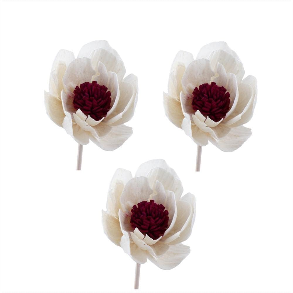 Vctitil 3 Pcs Rattan Reed Diffuser Set with Decorative Flower Sticks