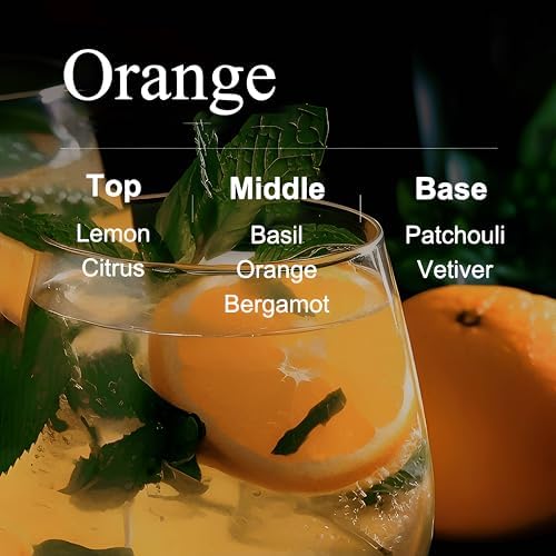 CHDGSJ Reed Diffuser 120ml 4fl oz for Home Bedroom Office Decor with 5 Reeds