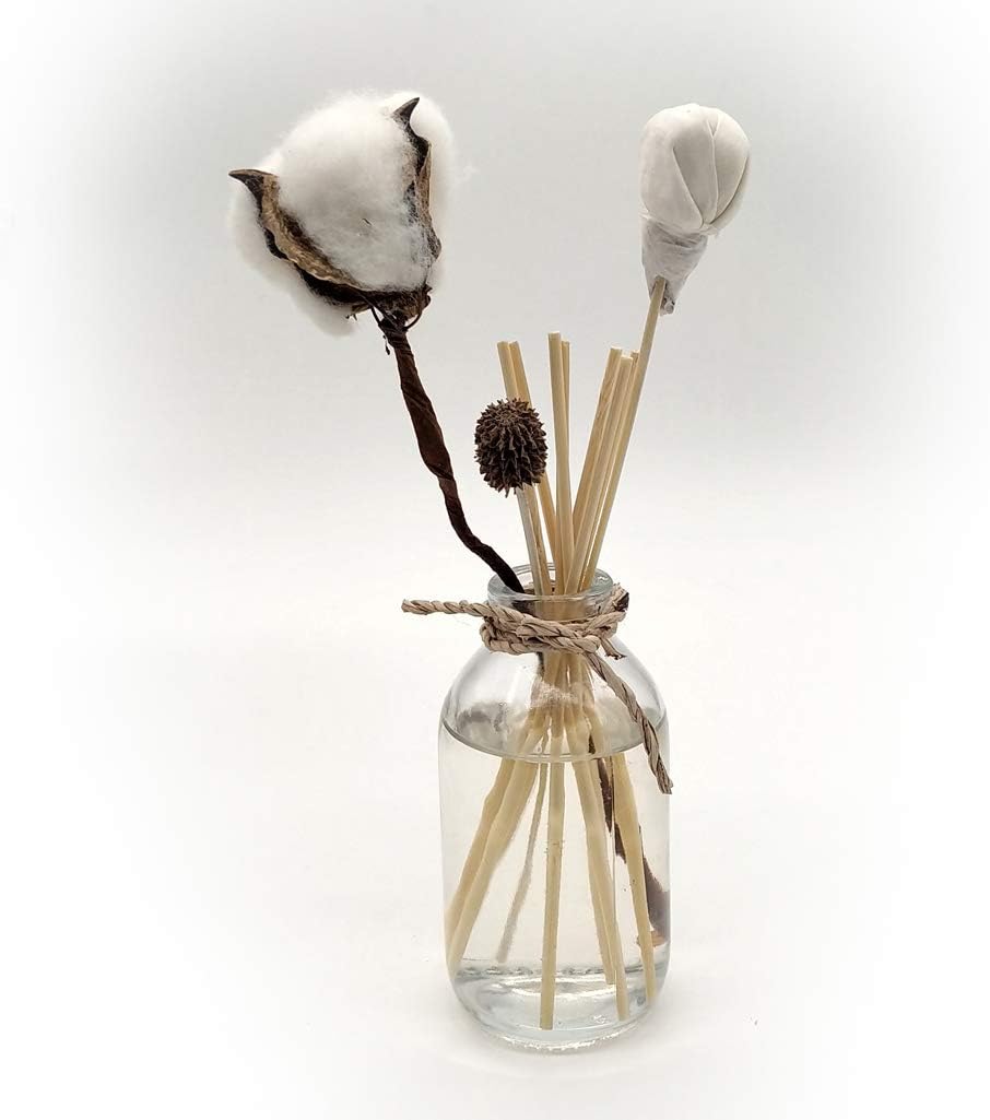 Butynara Diffuser Reed Sticks 100 pcs - 6 Inch Natural Rattan