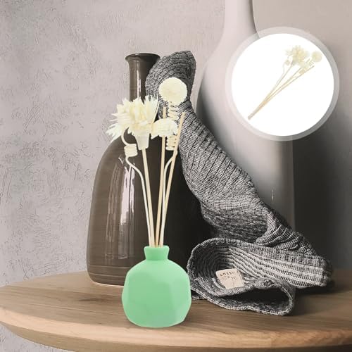 HOMSFOU 1set Rattan Diffuser Sticks for Home Office