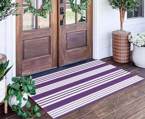 Purple and White Striped Outdoor Rug 24x51 Inch