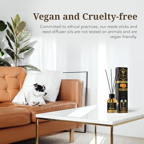 Mango Reed Diffuser Set - Tropical Scent for Home and Office
