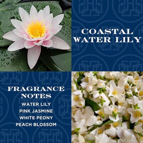 HomeWorx Coastal Water Lily Reed Diffuser Set