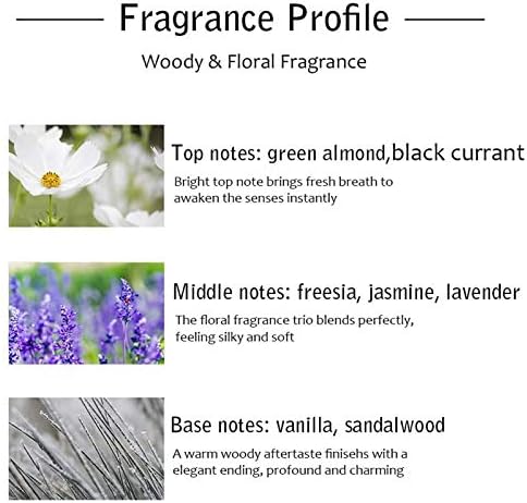 Binca Vidou Reed Diffuser Set - 150 ml Fragrance Oil