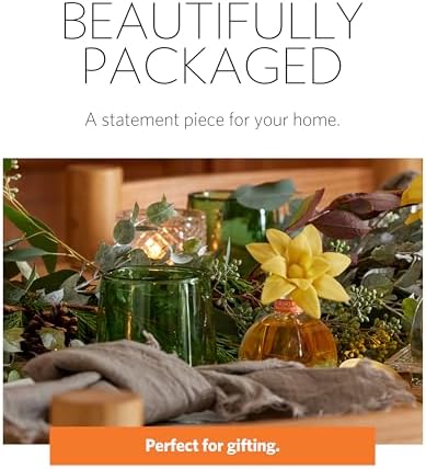 AGRARIA AirEssence PetiteEssence Diffuser Set 1