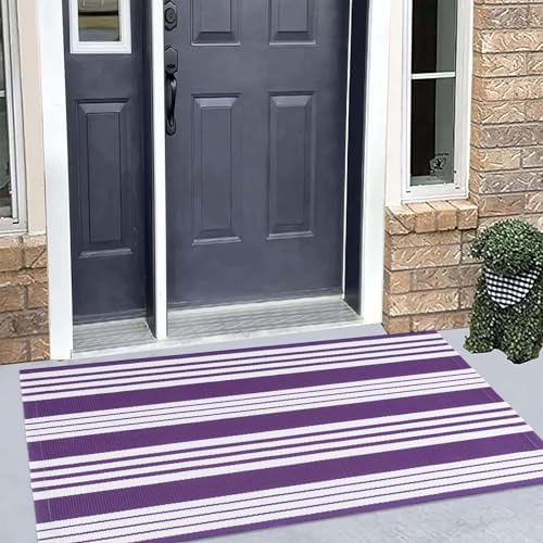 Purple and White Striped Outdoor Rug 24x51 Inch