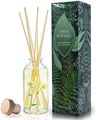 Urban Naturals White Tea Sage Reed Diffuser Set 4 Oz Bundle