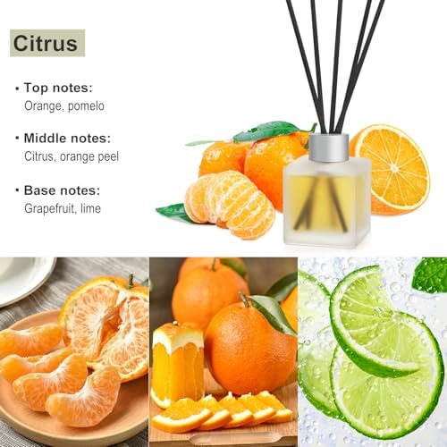 Citrus Orange Scented Reed Diffuser 34fl oz Long Lasting Home Fragrance