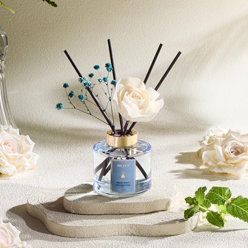 Airkeep Wild Mint Eucalyptus Reed Diffuser Set