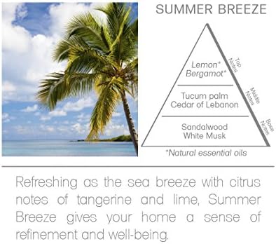 Acqua Aroma Summer Breeze Reed Diffuser 81 FL OZ